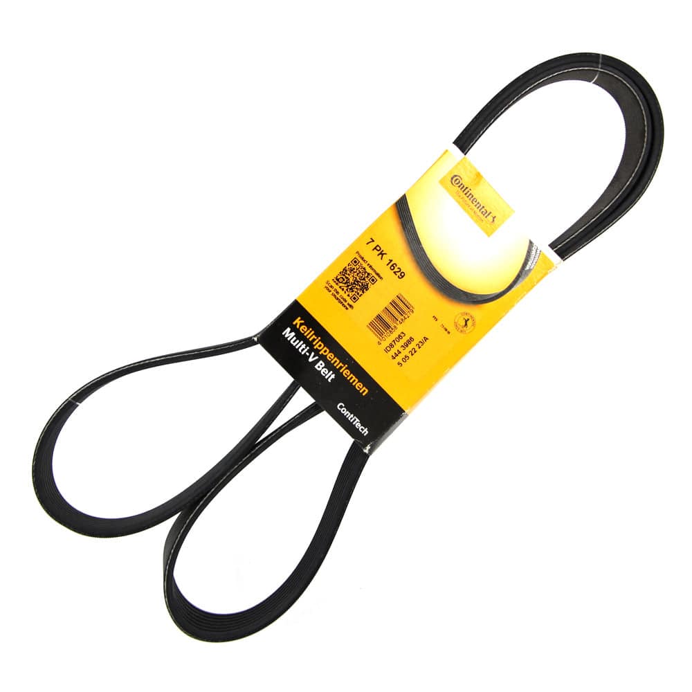 Drive Belt - Main - Clickable Automotive