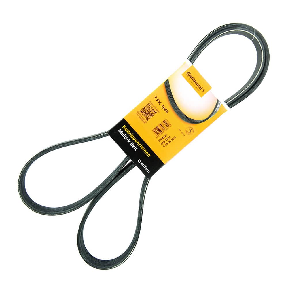 Drive Belt - Main - Clickable Automotive